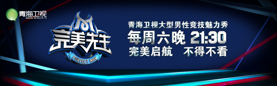完美先生