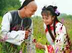 紫薇尔康经典情话之“花海表白篇”